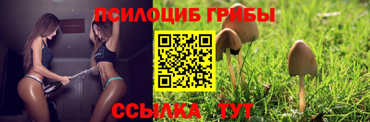 Карпинск  Галлюциногенные грибы MAGIC MUSHROOMS  купить наркотик  Вход с VPN 