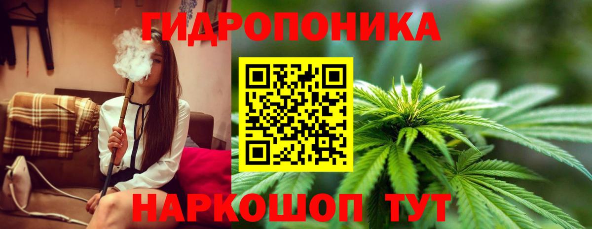 Конопля Amnesia Карпинск
